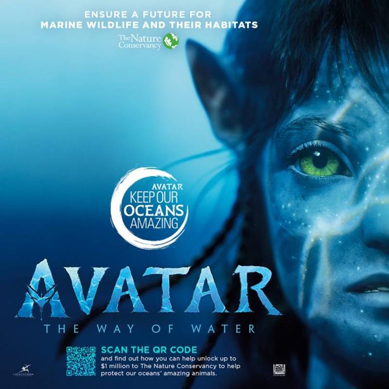 Campanha “Keep Our Oceans Amazing” do Avatar
