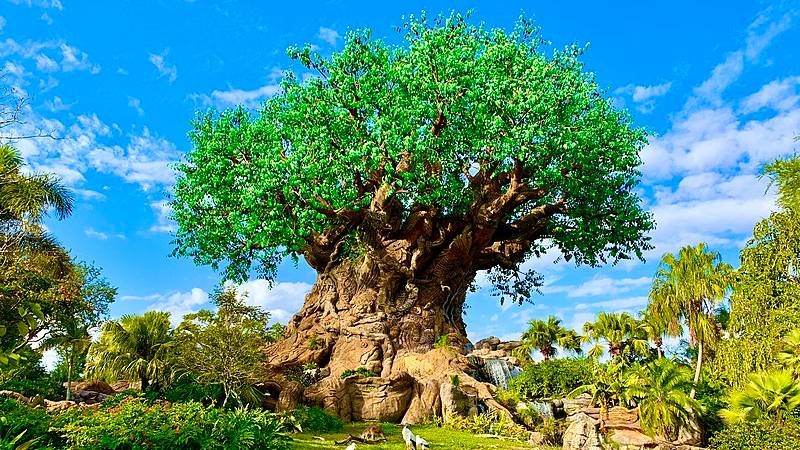 Árvore da Vida no Reino Animal da Disney