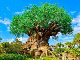 Animal Kingdom da Disney comemora seu 25º aniversário e o Dia da Terra em 22 de abril de 2023