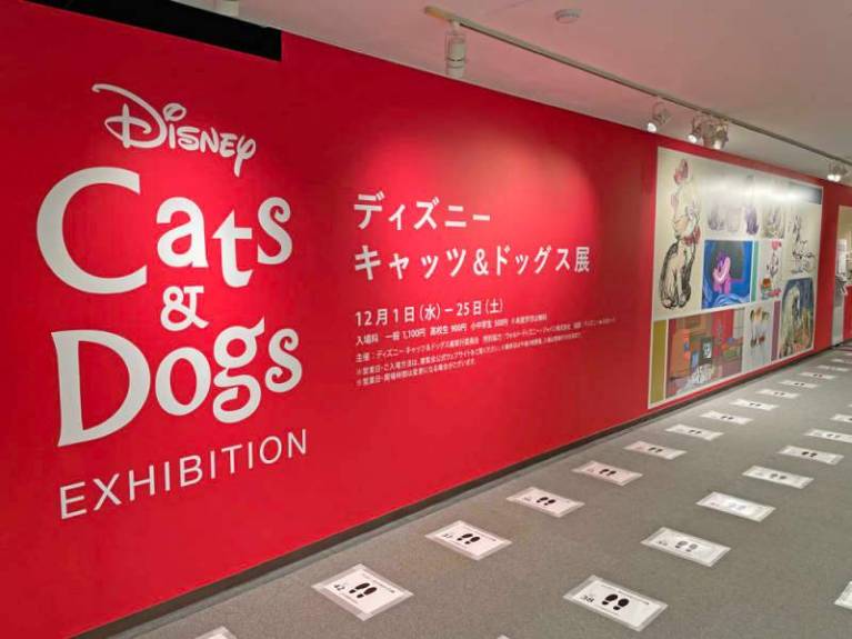 Exposição Disney Cats and Dogs chegando ao The Walt Disney Family Museum
