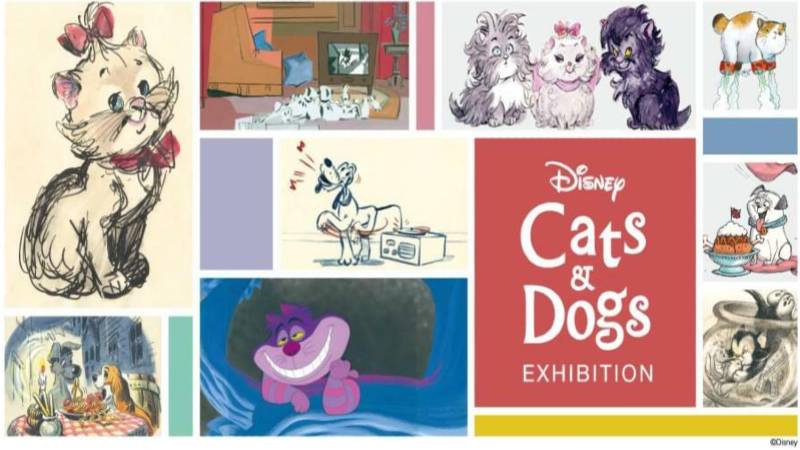 "Cães e gatos da Disney" Exposição chega ao The Walt Disney Family Museum