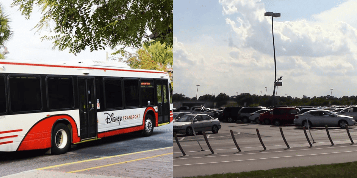 Imagens lado a lado dos ônibus da Disney e do estacionamento do Animal Kingdom