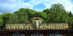 Animal Kingdom Park entrance signage_feature image