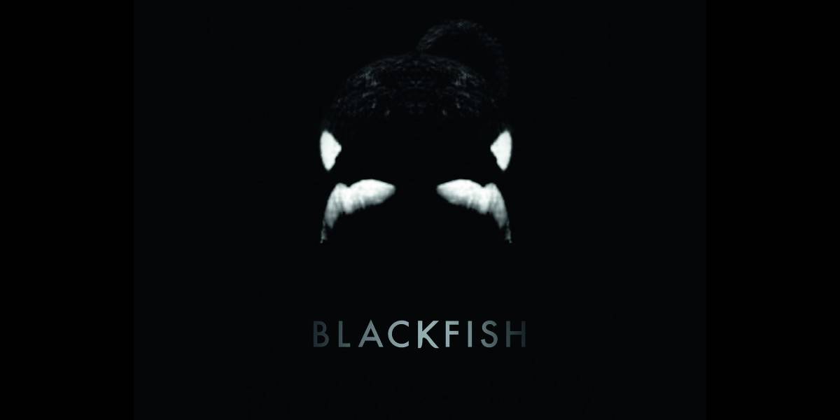 Pôster de 'Blackfish' com uma baleia assassina