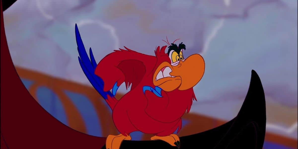 irritado Iago, o papagaio de Aladdin