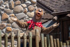 Bear entra no Magic Kingdom e fecha metade do parque temático