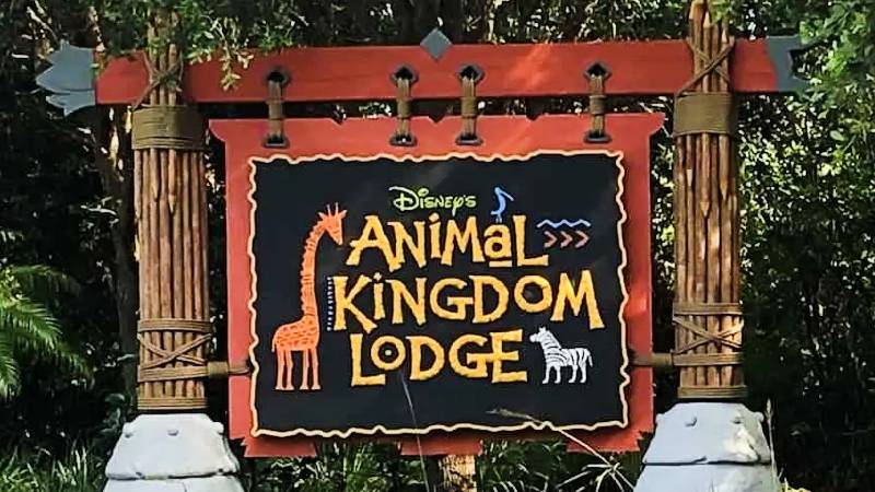 1696282060 11 Bebe Addax nasceu no Disneys Animal Kingdom Lodge no Walt