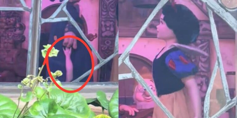 Snow White missing an arm in Magic Kingdom.